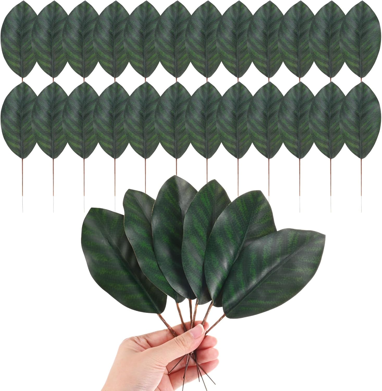 M METERXITY 50-Pack Artificial Magnolia Leaves, Fake Green Leaf with Stems for DIY Flower Garland/Wedding Decoration/Bookmark/Wreaths, Faux Magnolia Leaves [6.3x19.5cm, Green]