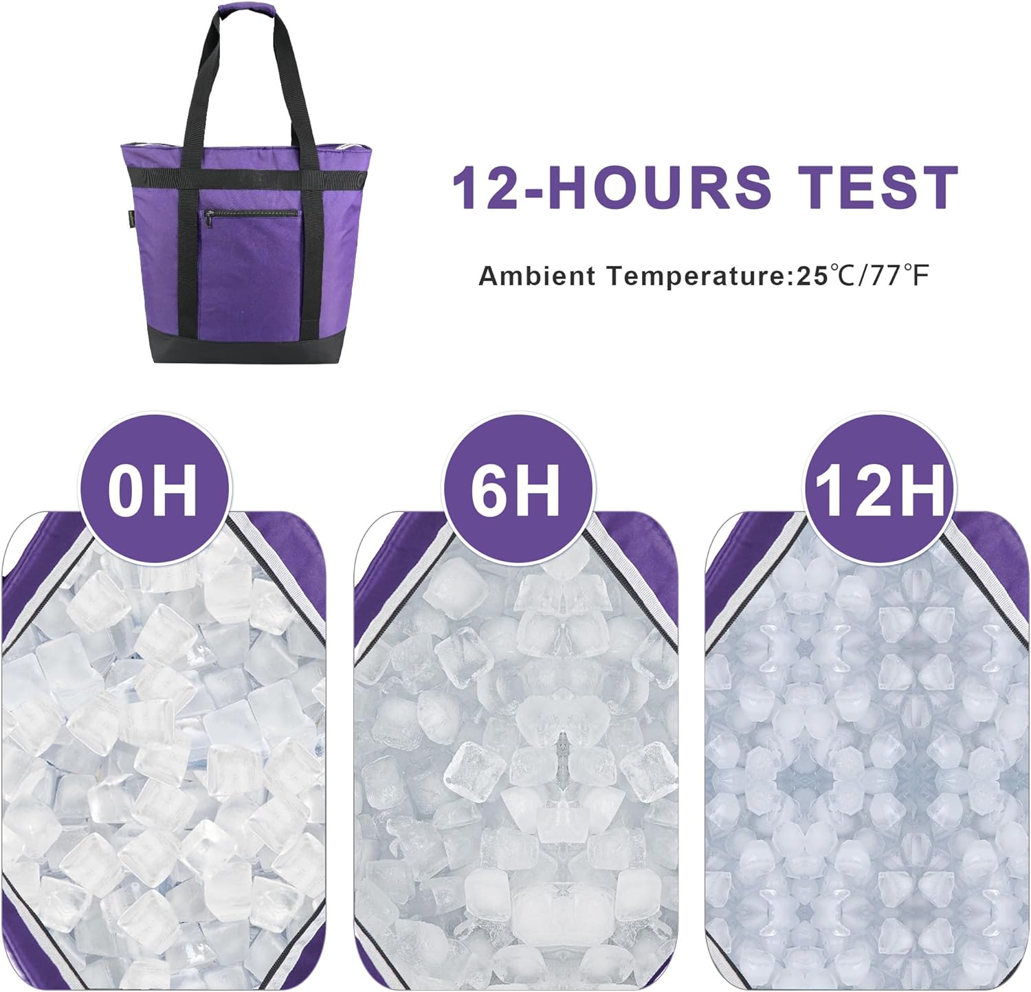 BeeGreen Cooler Bag Soft Insulated Tote for Beach Travel Grocery Shopping Lunch Portable Large Ice Coolers with Handle Hard Freezer Bags with Zippered Top Foldable Leakproof Delivery Totes Purple