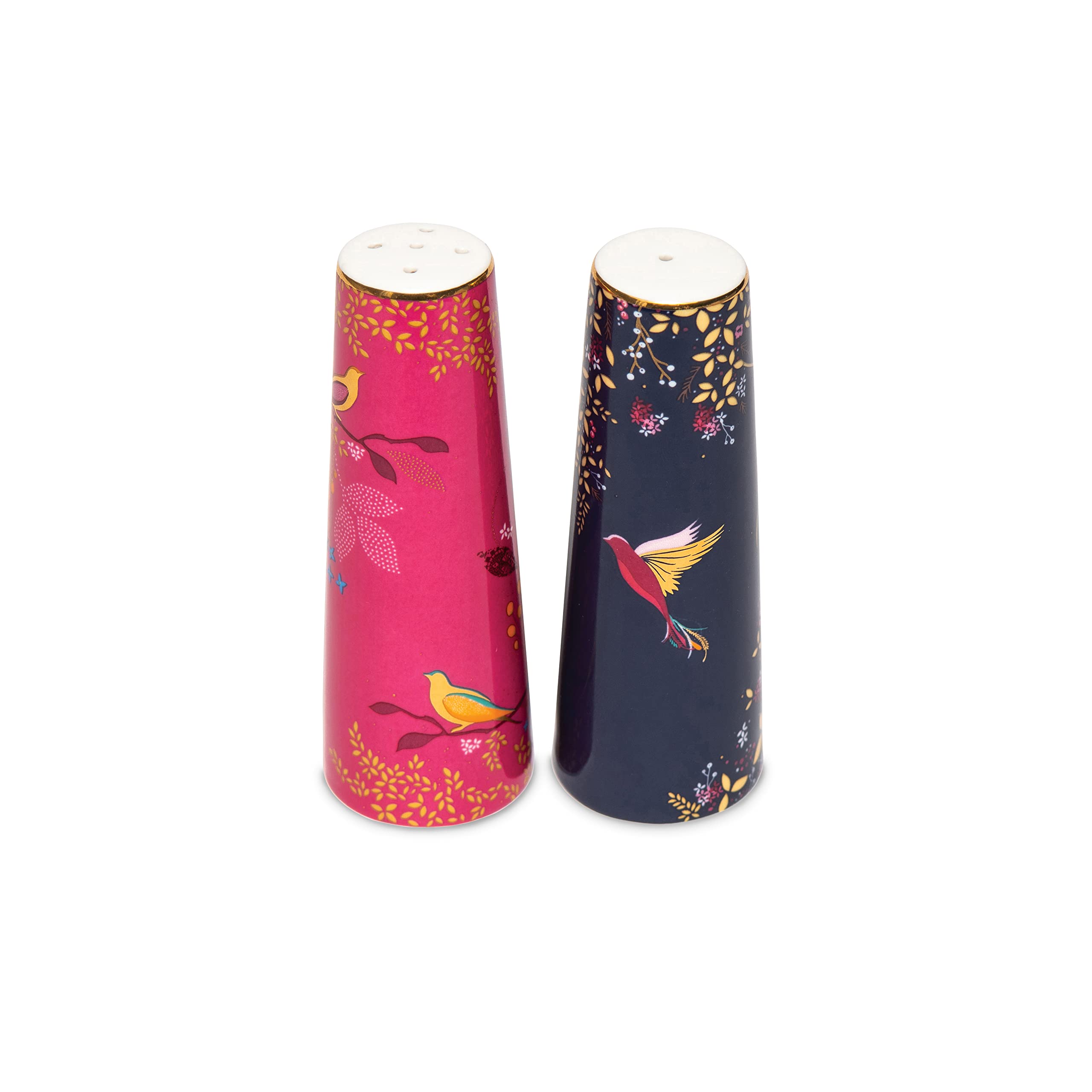 Sara Miller SMC79407-XG Portmeirion Chelsea Ensemble salière et poivrière en céramique Bleu et rose