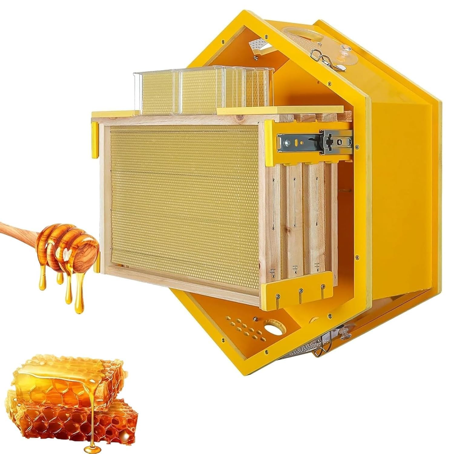 Scatola per finestra di osservazione dell'alveare da parete, set iniziale per apicoltura da interni, con pannello trasparente, include cornici e scatole per pettini