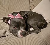 Review Image by MissHollie7