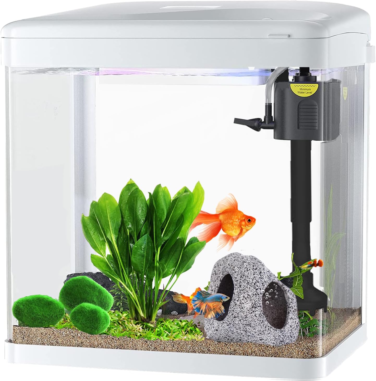 Craftsboys15L Fish Tank with Filter and Light, Rectangular Aquarium Tank with LED Light, Tray Filter System, Curved Glass Front (White)