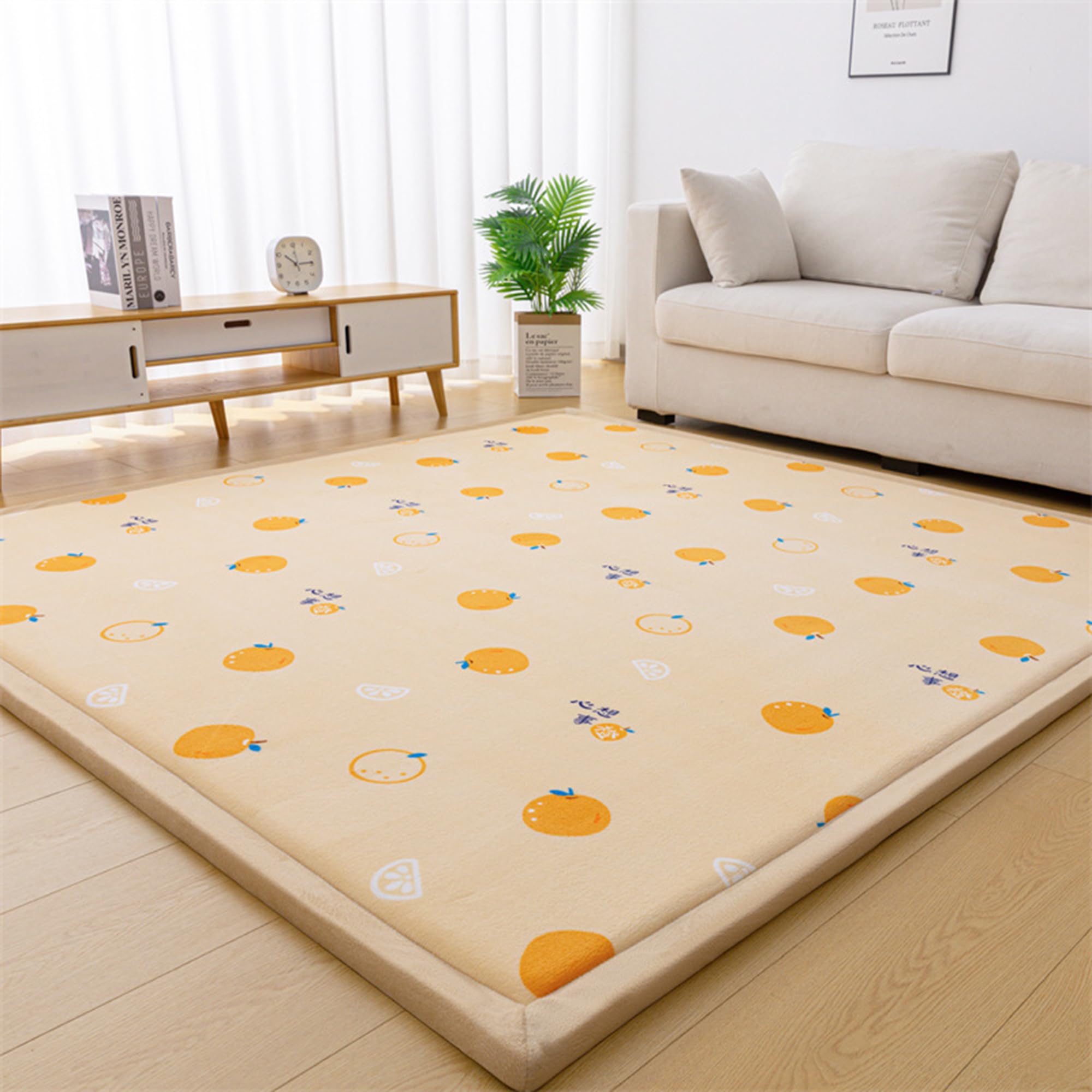 Tapis de salon lavable ne perd pas ses poils grand tapis de sol