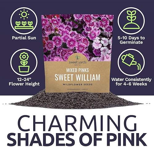 Miniatura 6 de Semillas Sweet William - Colores rosados mezclados - Paquete extra grande de 1 onza - Más de 30,000 semillas de flores polinizadas abiertas sin OMG