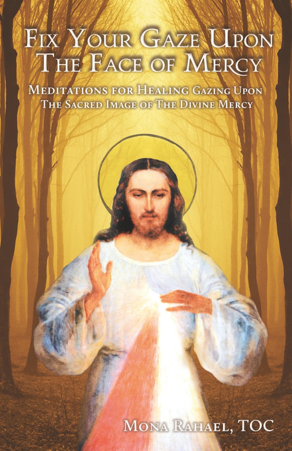Fix Your Gaze Upon The Face of Mercy: Meditations for Healing, Gazing Upon The Sacred Image of The Divine Mercy