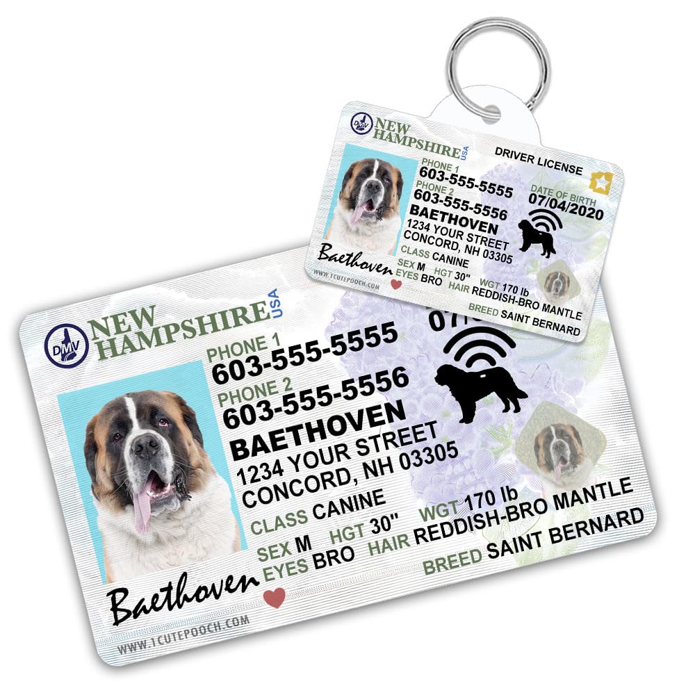 Amazon.com: New Hampshire Driver License Custom Dog Tag for Pets