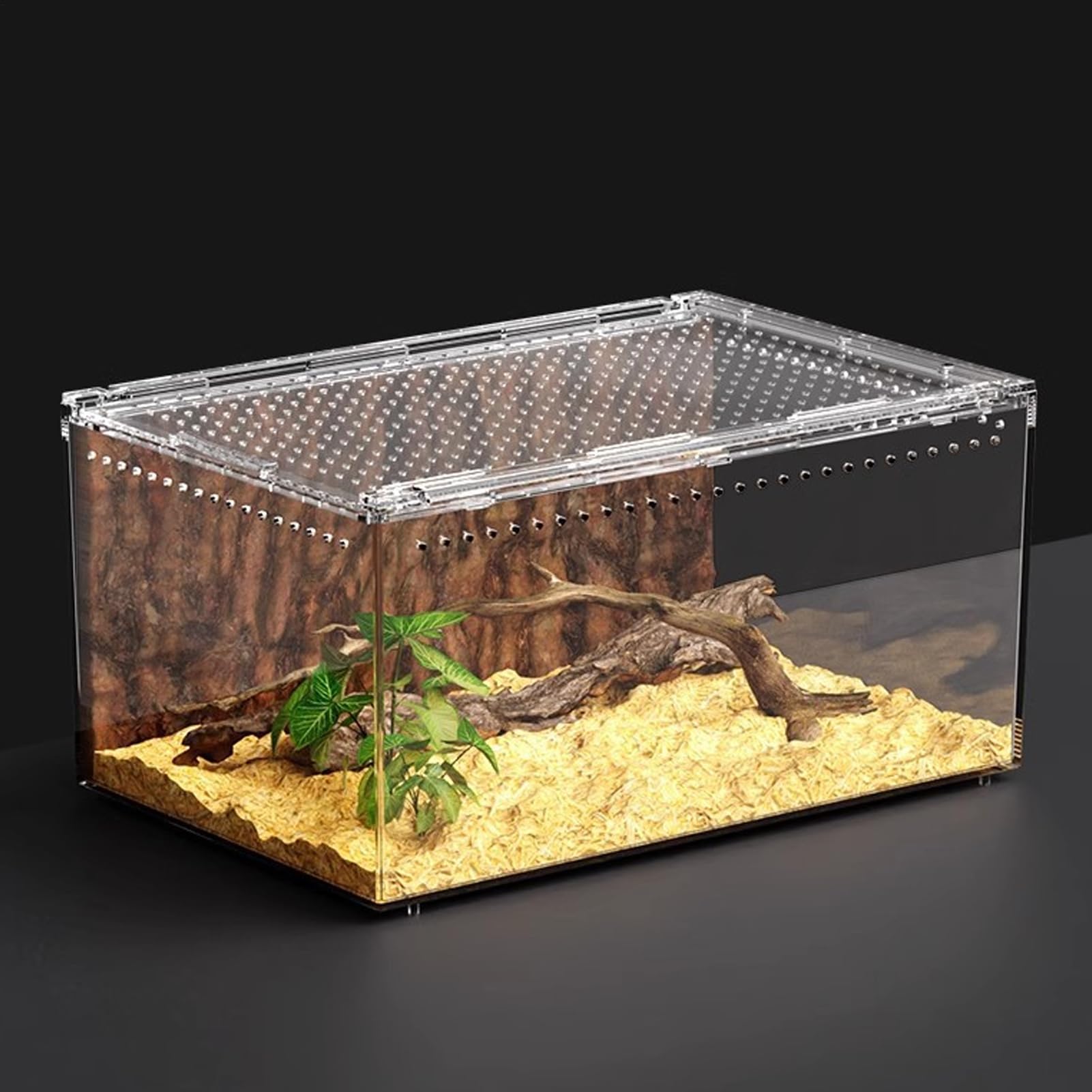 Terrarium Dla Gadów Wentylowane Przezroczyste Akrylowe Zabezpieczone Przed | Terrarium Dla Modliszek Klatka Do Hodowli Jaszczurek Dla Płazów Żab Krabów Gekonów Węży Żółwi Agam Brodatych D