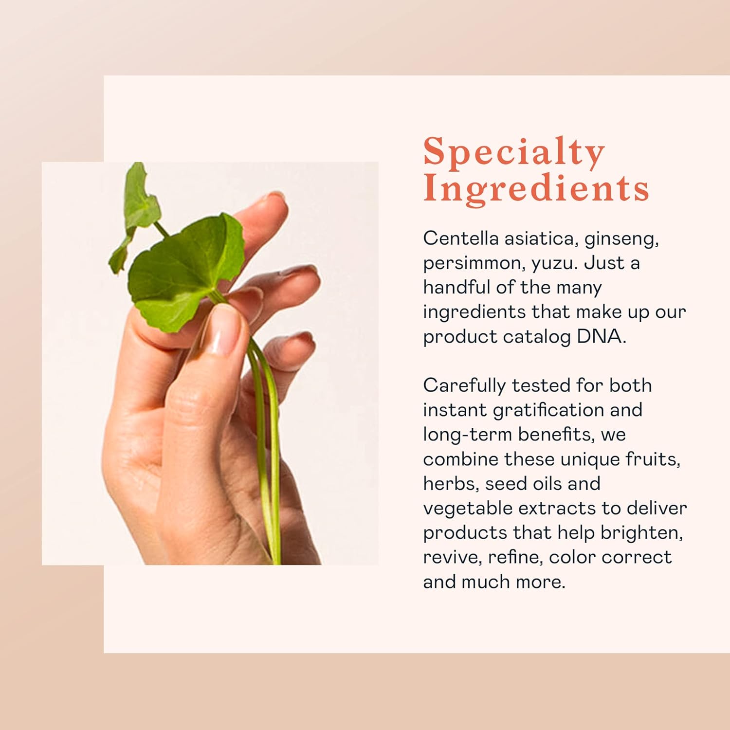 Erborian Centella Melting Cleansing Balm, Gentle Cleanser Purifies Skin & Removes Makeup, Oil & SPF, Non-Stripping, Soothes, Hydrates, Korean Skincare - Image 5