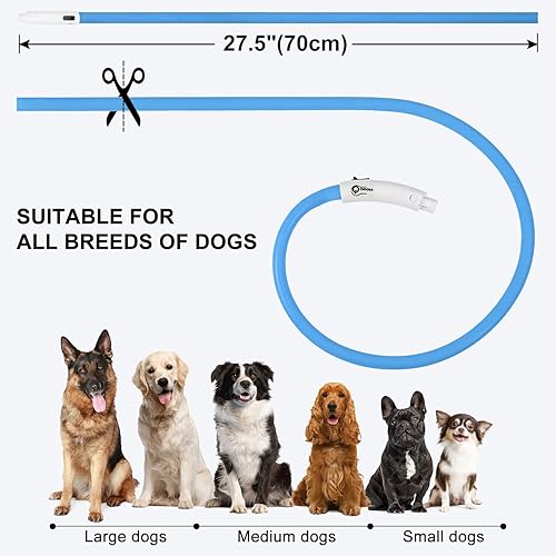 Miniatura 3 de Joytale Collar de perro con luz LED, recargable por USB, para seguridad nocturna, collar que brilla en la oscuridad para perros pequeños, medianos y