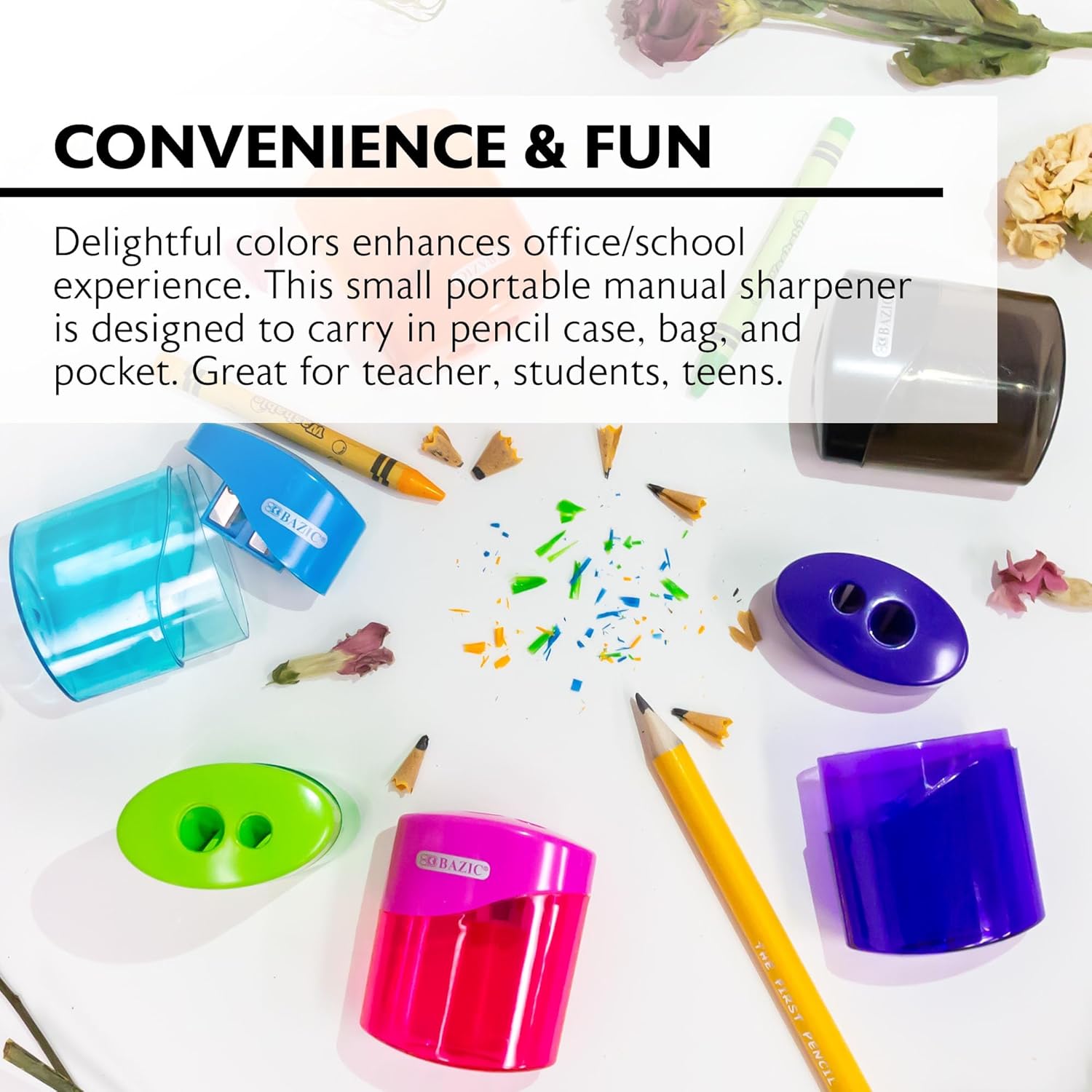 BAZIC Products Pencil Sharpener Dual Blades w/Receptacle, Standard & Jumbo Size Pencils Crayon, Double Blade Sharpeners, 144-Packs
