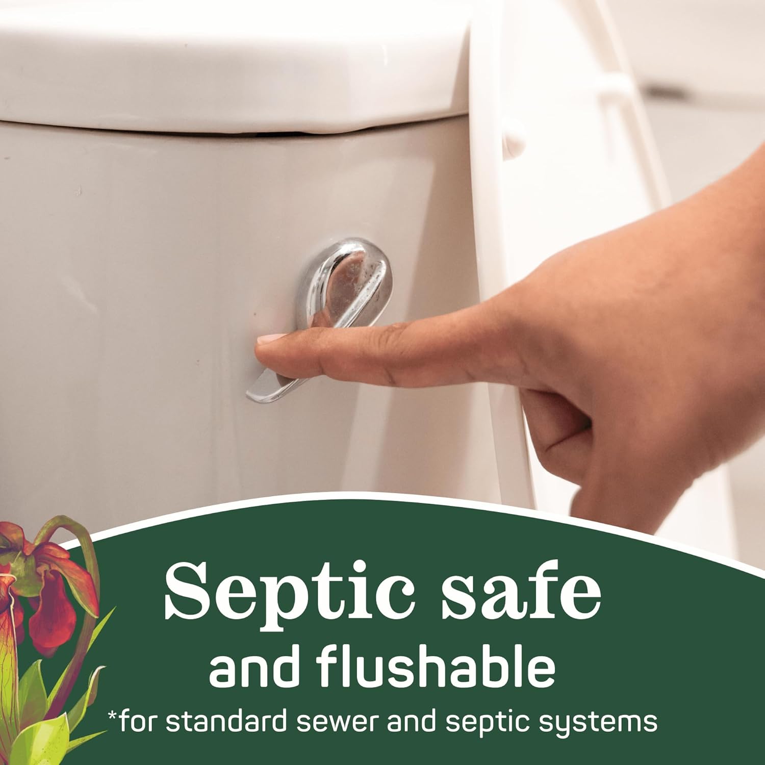 掛け軸 田中雲舟 四神相応図 絹本 希少 軸装 茶道具 掛軸 美品 です。 掛け軸 田中雲舟 四神相応図 絹本 希少 軸装 茶道具 掛軸 美品