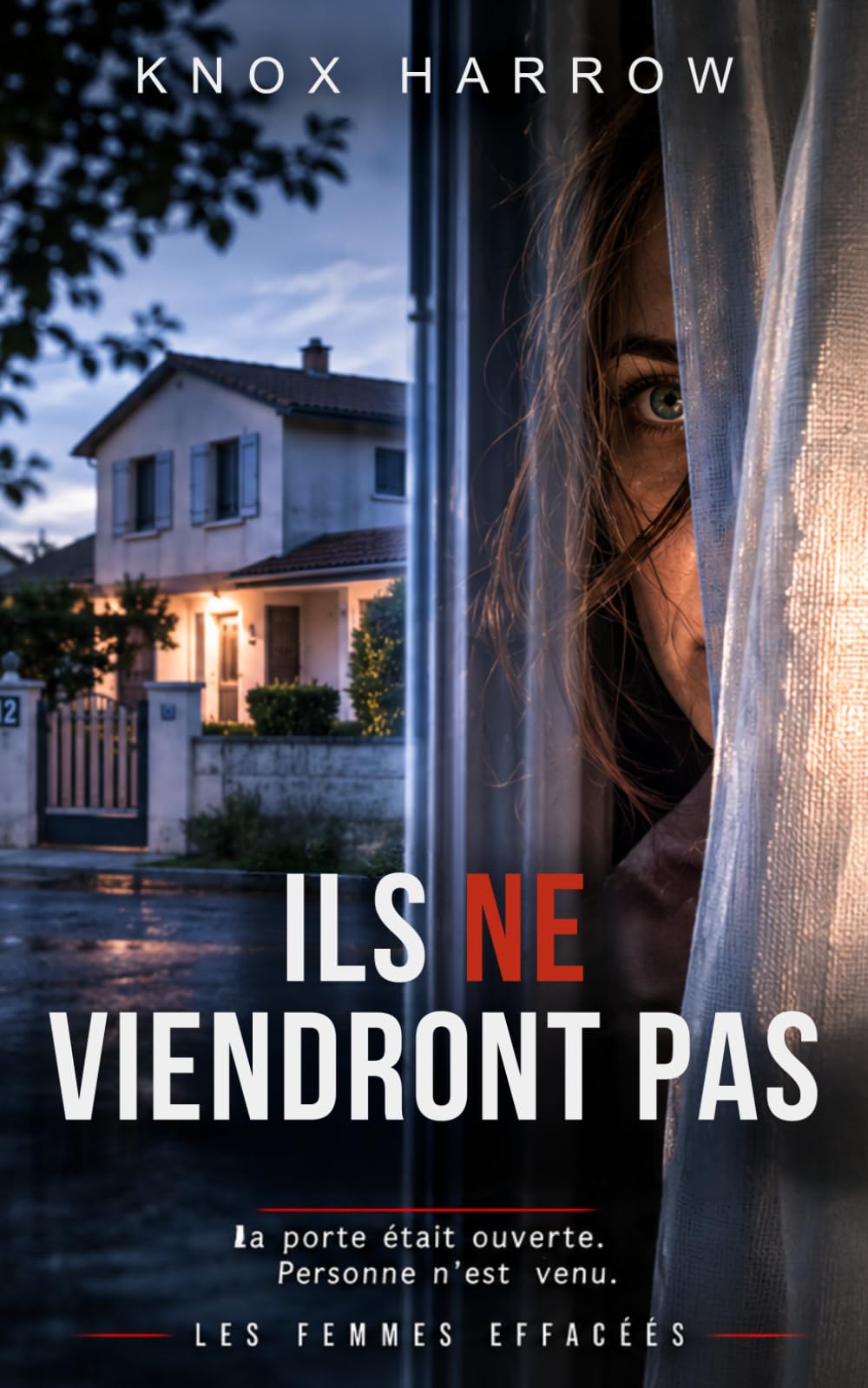 Ils ne viendront pas: Un thriller psychologique (Les femmes effacées)
