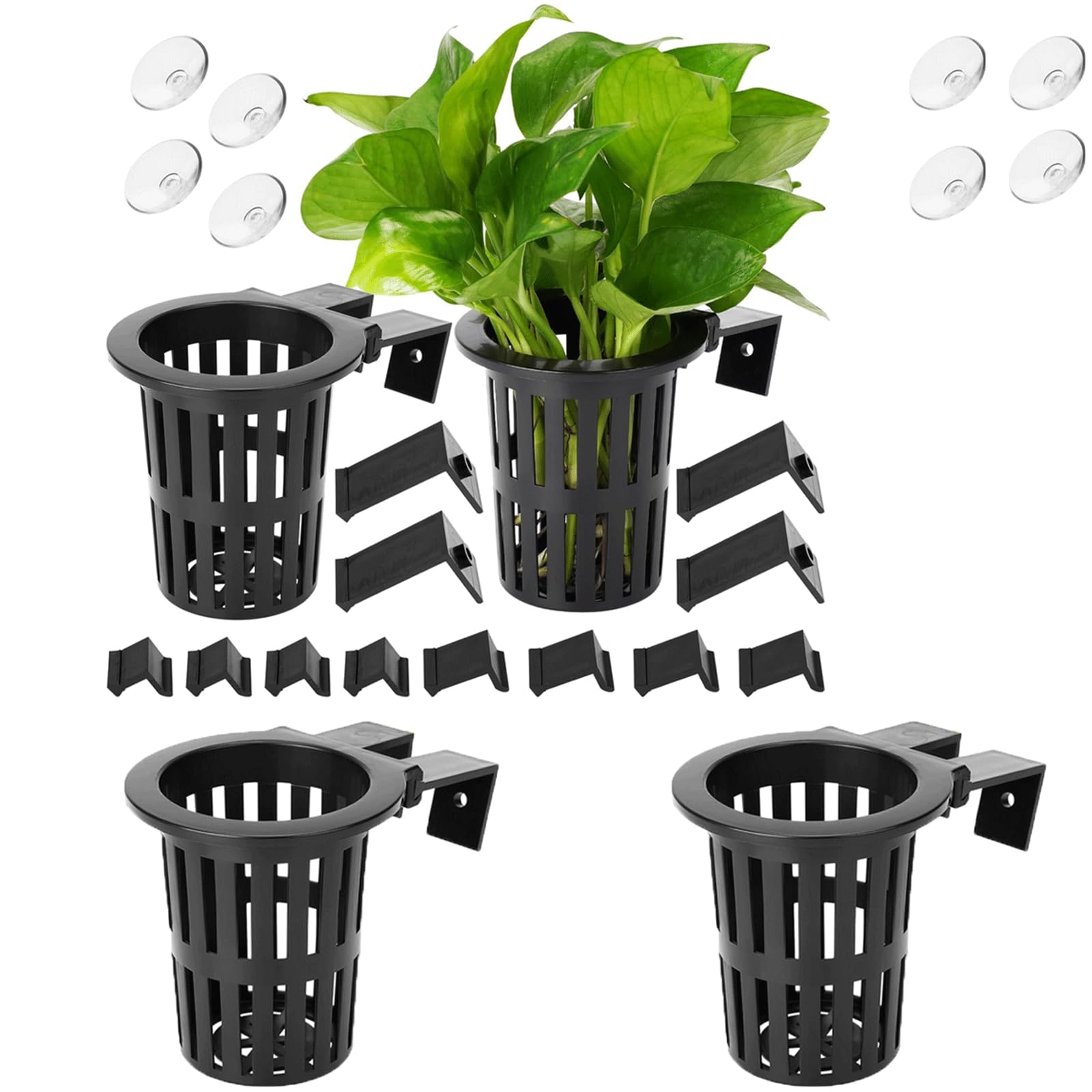 rflaueo 4pcs Upgraded Aquarium Plant Holder with Hooks and Suction Cups for Fish Tank Aquaponic Plants Cultivation and Aquascape Decorations(U321-4)