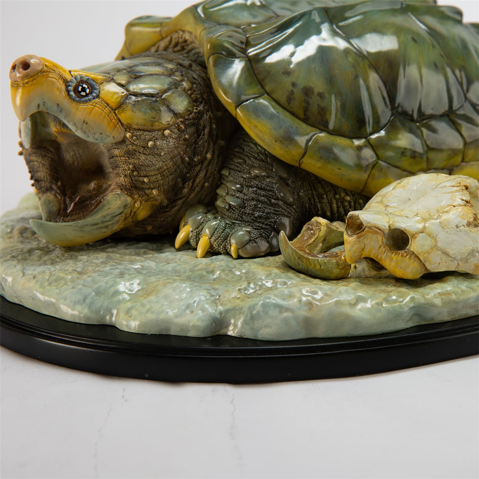 Amazon.co.jp: 動物惑星 ワニガメ plus 29CM級 爬虫綱 カメ目