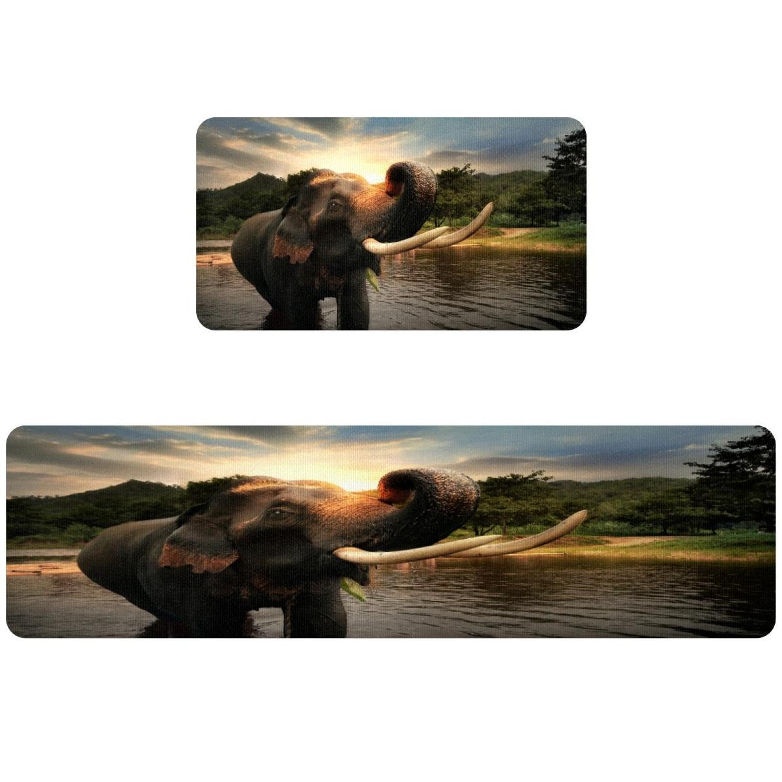 Alfombrilla de cocina lavable de elefante salvaje para decorar el cuarto de lavado y pasillo
