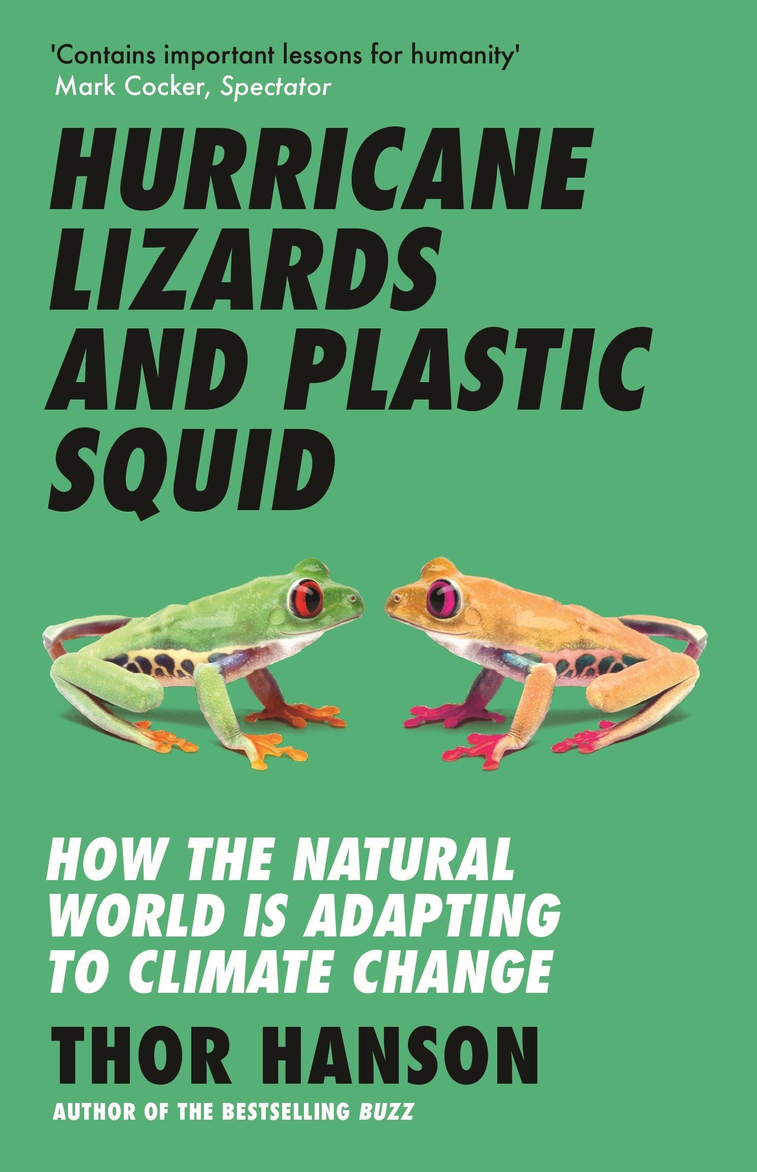 Hurricane Lizards & Plastic Squid