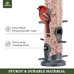 Kingsyard 2 Pack Tube Bird Feeders pour l'extérieur suspendu, Premium en plastique dur Bird Feter avec 6 Ports d'alimentation, étanches aux intempéries & Suspension en acier, Attracting for Wild Birds (Noir)