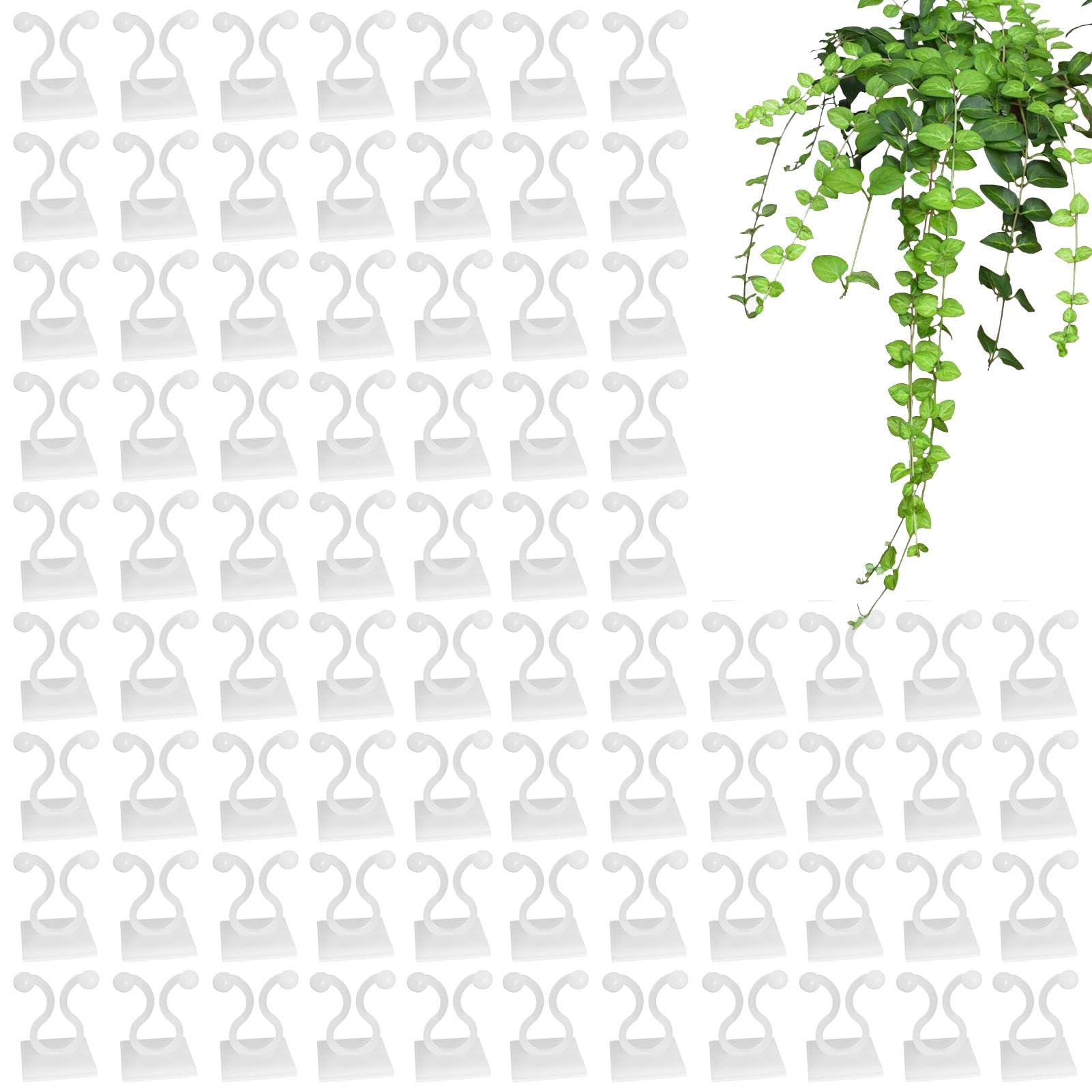 100Pcs SelfAdhesive Vine Plant Climbing Wall Fixer Vine Clips Climbing Plant Support Clips Plant Climbing Wall Fixture Clips Invisible Plant Climbing Wall Clips For Garden Art Climbing Plants