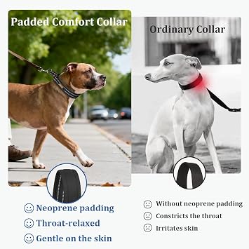 Mayerzon 38mm Wide Martingale Collar for Small Medium Dogs Precision Fit