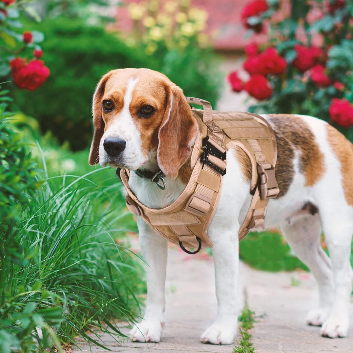 EAmber Tactical Dog Vest Harness Heavy Duty Dog Pet Working Vest Easy Control for Medium Large Dogs for Hiking Training Outdoor Dogs