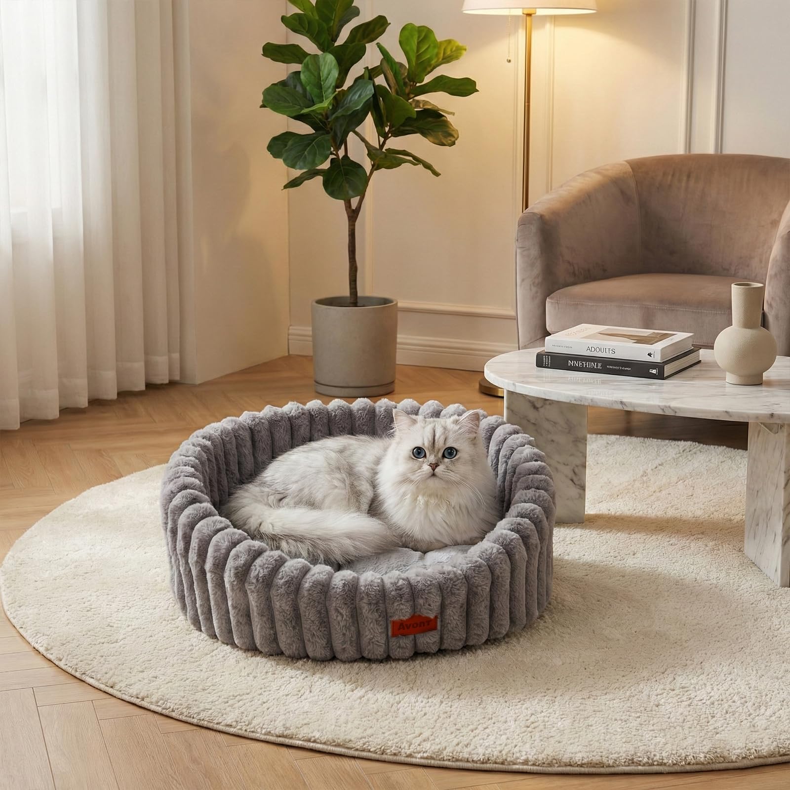 Avont Nido Morbido per Gatti - Cuccia Lavabile con Base Antiscivolo per Cuccioli e Cani Piccoli, Grigio Topo (M)