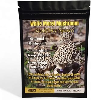 White Morel Mushroom Seed/Dry Spawn