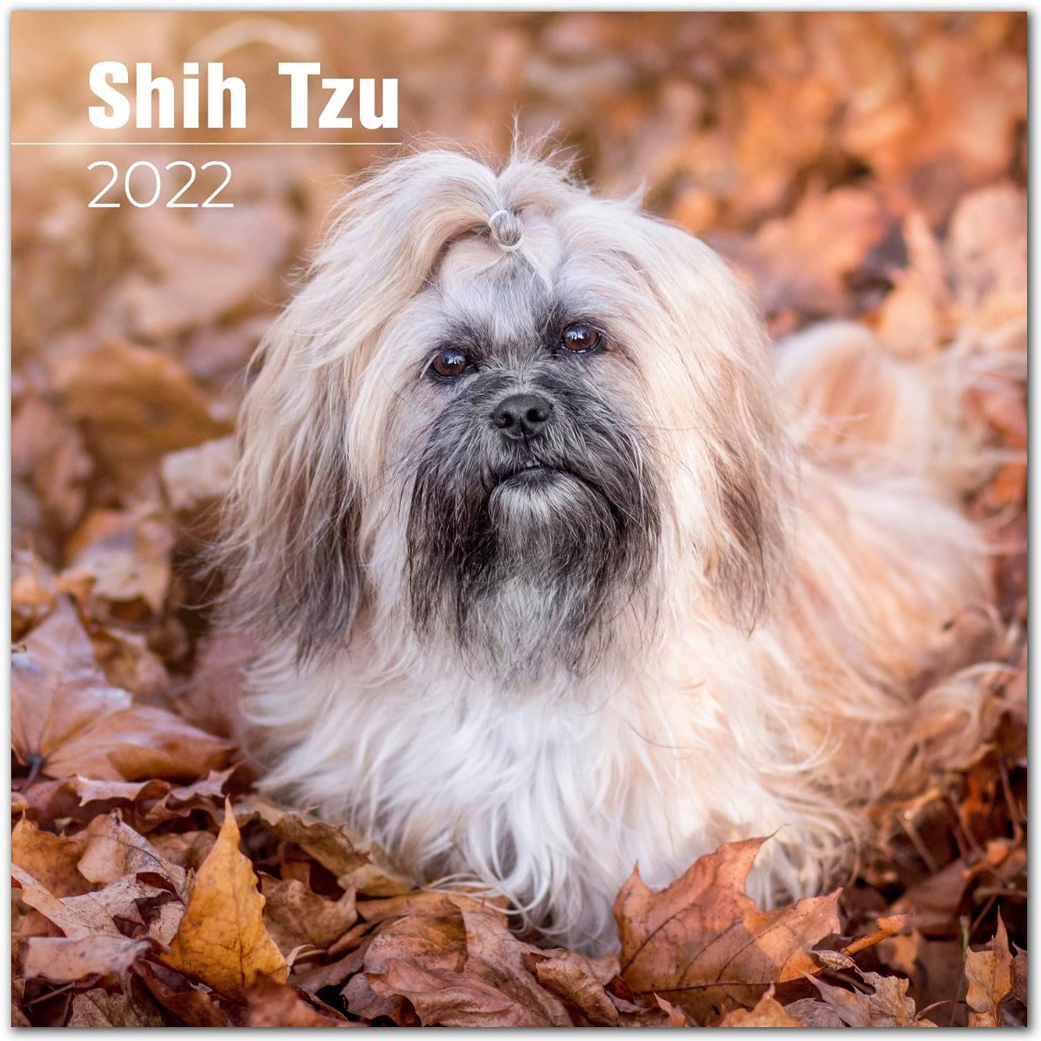 2025 2026 Shih Tzu Calendar - Dog Breed Monthly Wall Calendar - 12" x 24" Open - Thick No-Bleed Paper - Giftable - Academic Teacher's Planner Calendar Organizing & Planning - Made in USA