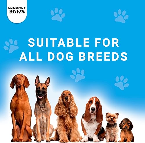 Miniatura 3 de Coconut Paws Aceites orgánicos para piel, cabello, orejas, dientes y uñas de perros, aceite de coco orgánico prensado en frío sin refinar, aceite de