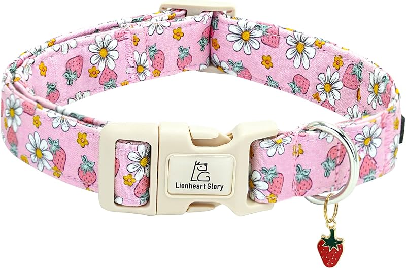 Coleira para Cães em Algodão com Estampa de Morangos Rosa Lionheart glory Ajustável