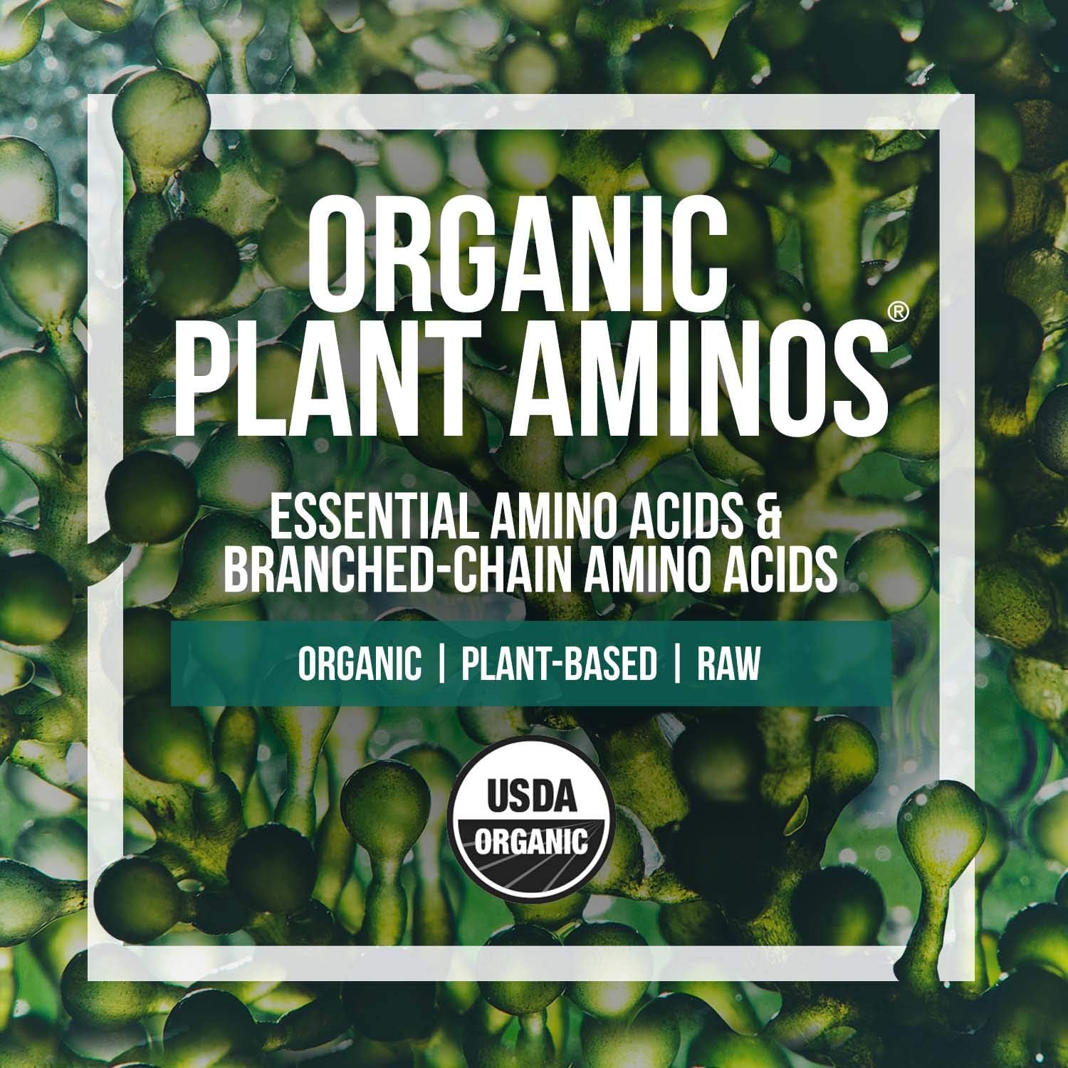 Plant Aminos Organic Essential Amino Acids (EAAs) & BCAA - 100% Plant-Based Raw, Vegan - All 9 Essential Amino Acids with 18 Total Amino Acids (360 Tablets) : Health & Household