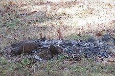 Review Image by Amazon Customer Amazon Customer