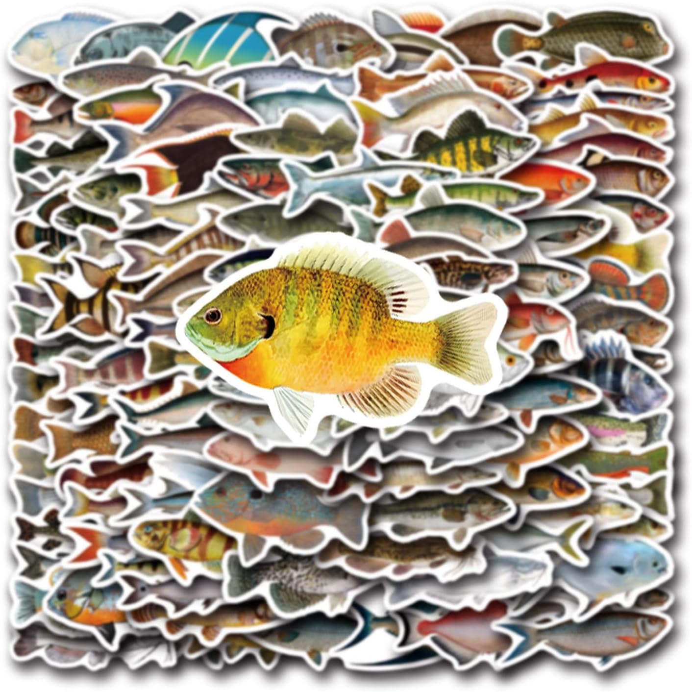 110 Pcs Funny Fish Stickers for Teens Boy Girls Kids Deep-Sea Fish Stickers Vinyl Waterproof go Fishing Decals Pack for Party Supplies (Fish) image 3