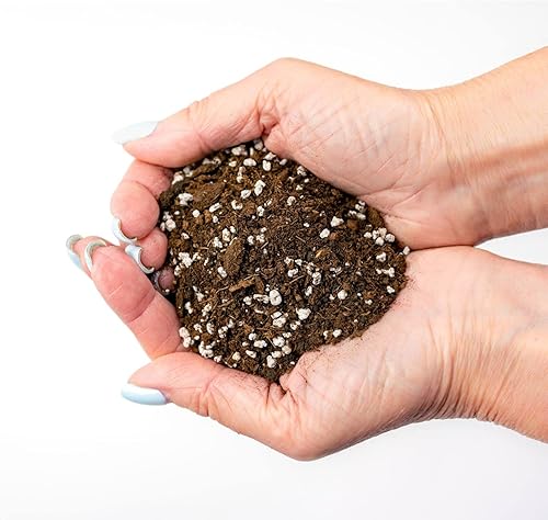 Miniatura 2 de Tierra para macetas prémium para plantas de interior y plantas tropicales, tierra para replantear todo tipo de plantas de interior - 5 cuartos de