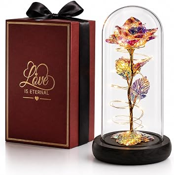 Nice Decor Gift for Mom Birthday Gifts for Woman - Forever Rose in Glass