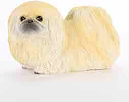 ペキニーズ書籍4冊セット 本 洋書 写真 pekingese PEKINGESE 71wsxQf88bL._AC_SY200_QL15_.jpg
