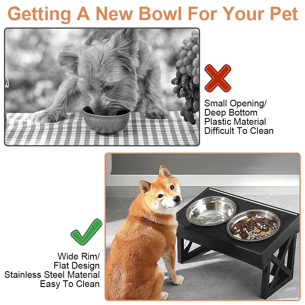 5 Ciotole Per Gatti In Acciaio Inox - 15.5cm, Piatte E Larghe, Lavabili In Lavastoviglie