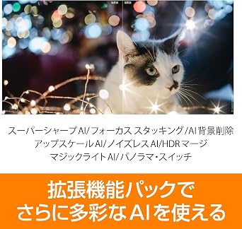 SourceNext |Luminar Neo AI function added version (latest version) | AI-equipped image editing software | Compatible with Windows and Mac