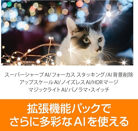 SourceNext ｜Luminar Neo AI function added version (latest version) ｜ AI-equipped image editing software ｜ Compatible with Windows and Mac