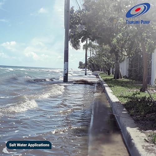 Miniatura 4 de Tsurumi Pump 50TM2.4S  Bomba sumergible de titanio  12 HP, 115V, descarga de 2 pulgadas  Ideal para agua de mar y líquidos corrosivos