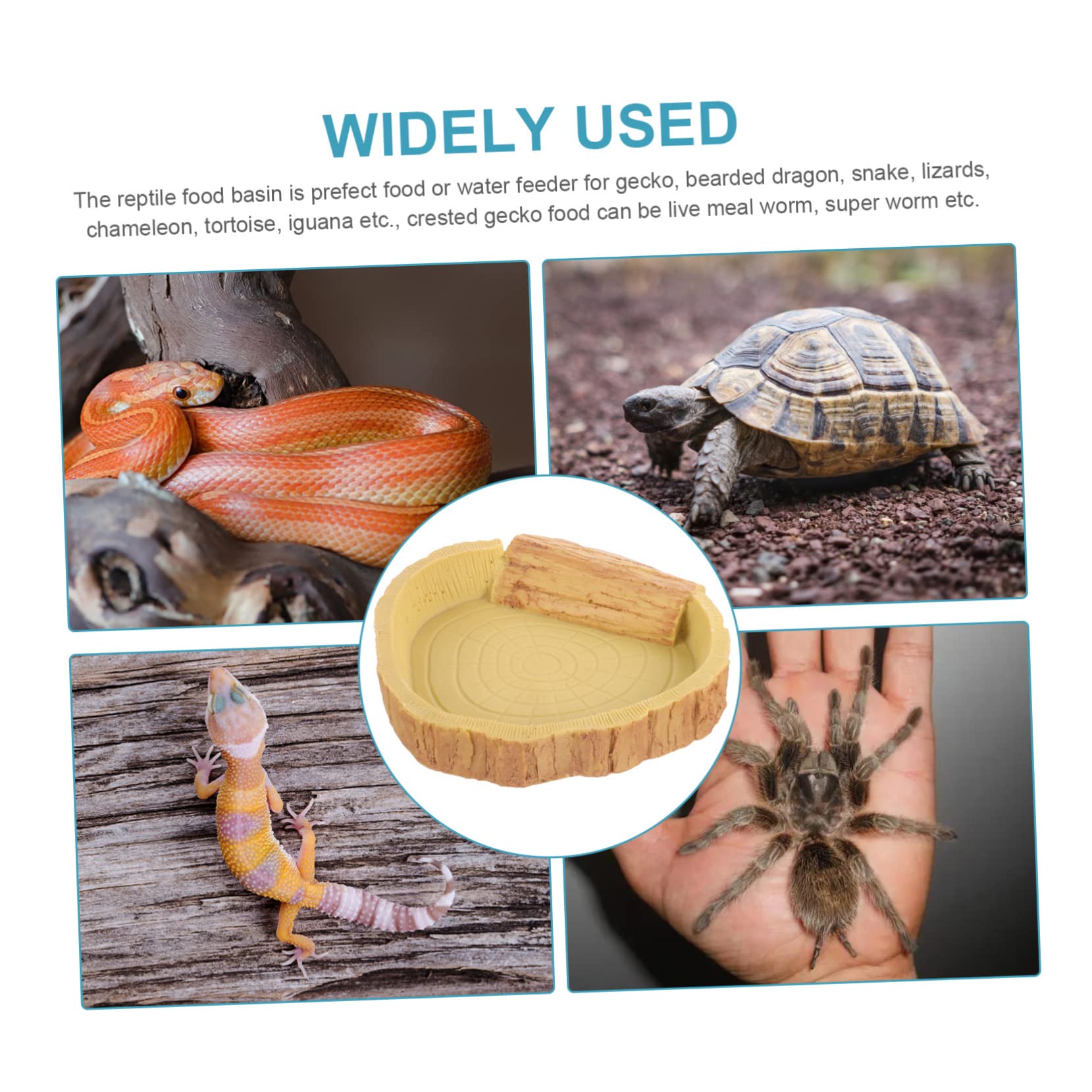 Toyvian Ciotola per Rettili in Resina, Arancione, Facile da Pulire, per Cibo e Acqua nel Terrario, Accessorio per Rettili e Tartarughe