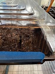 Amazon.com : RooTrimmer Humidity Dome, Plastic Clear Seed Starter Dome ...