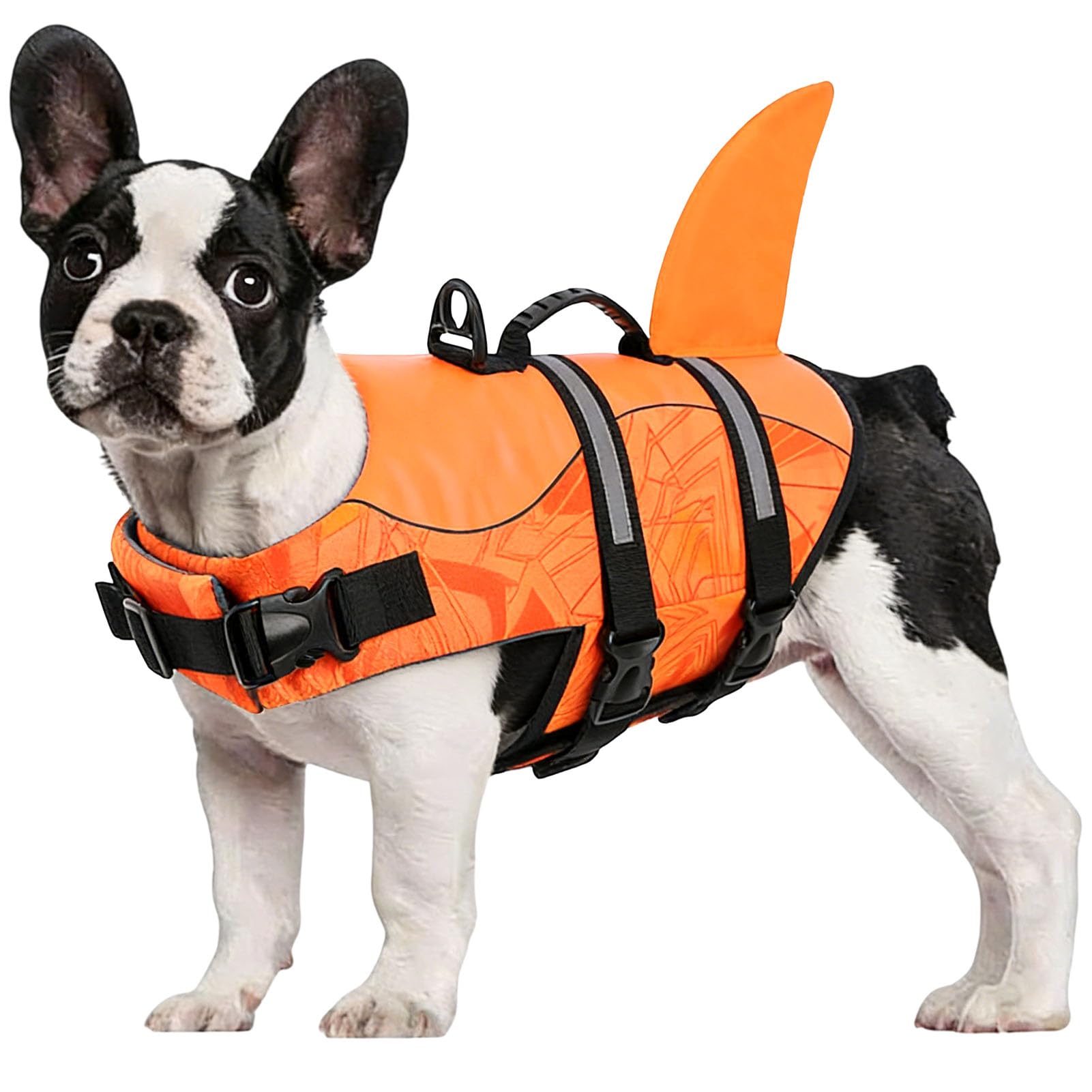 CITÉTOILE Hund Schwimmweste Hai für Kleine Mittlere und Große Hunde