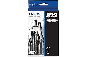 Epson 822 DURABrite Ultra Black Ink Standard