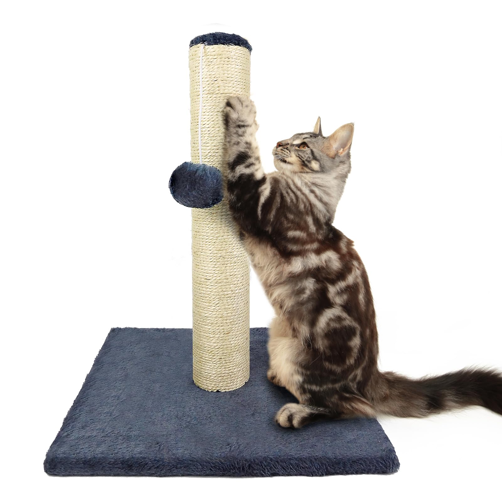 Cat Scratching Post Small Cat Activity Center Kitten Climbing Tree with Dangling Toy, Plush Base, 40cm Tall Cat Scratcher for Kittens & Pets, Furniture Scratching Deterrent Sisals Scratch Pole