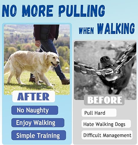 Miniatura 7 de Collar dorado para perro, cadena de acero inoxidable a prueba de mordidas, collar de perro de doble fila ajustable para perros pequeños, medianos y