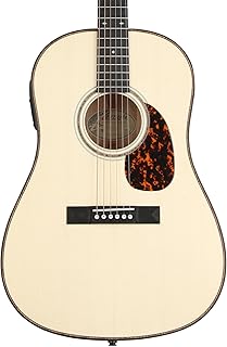 Larrivee SD-24E