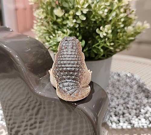 Miniatura 2 de Tea Pet - Adorno creativo de cocodrilo para bebé, adorno de cocodrilo gordito, pequeño té para mascotas, mini estatua linda, sala de estar, mesa de