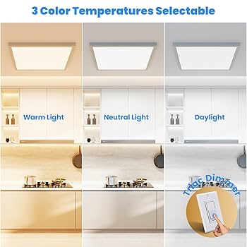 ブラインド s2 41D8tIo3IyS.jpg_BO30,255,255,