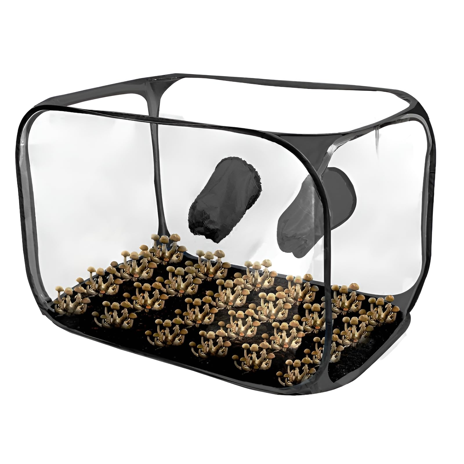 イ*ー様 マジック・マッシュルーム 完全栽培マニュアル 楽天市場】マジックマッシュルーム（本・雑誌・コミック）の通販