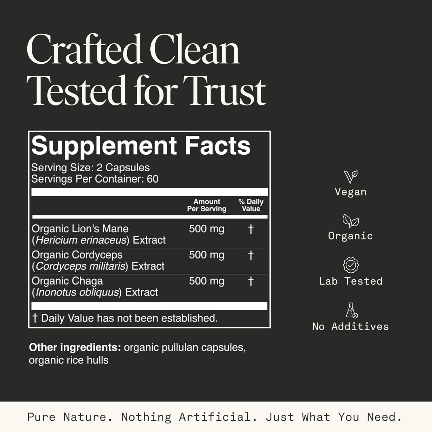 Fantastic Fungi Lions Mane Mushroom, Cordyceps Mushroom & Chaga Supplement - Focus, Energy & Brain Support Adaptogenic Capsules - 100% USDA Organic Complex, Vegan, 120 Capsules (2-Month Supply)